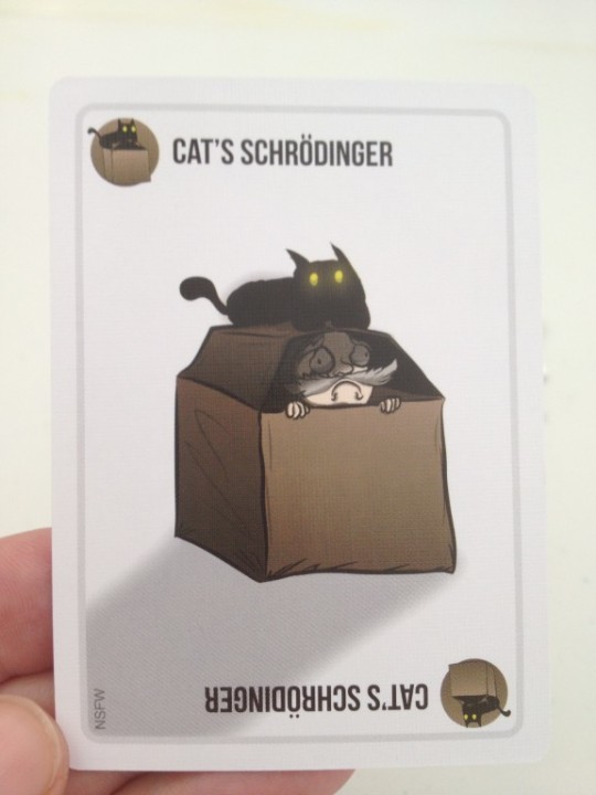 Exploding Kittens Cats Schrodinger