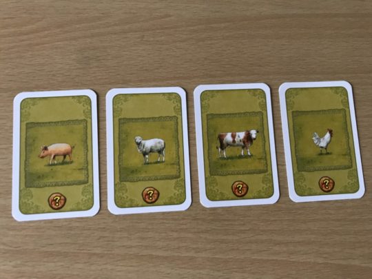 Animal Cards
