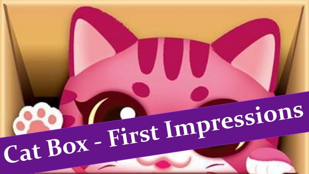 Cat Box First Impressions