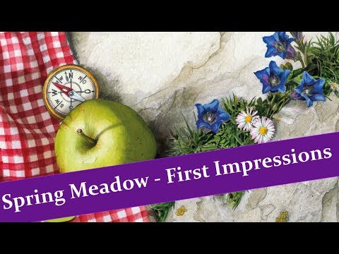 Spring Meadow First Impressions