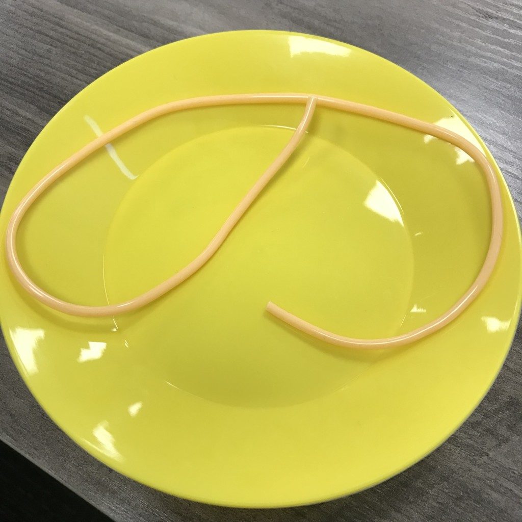 The Noodle Game, Noodle on a plate
